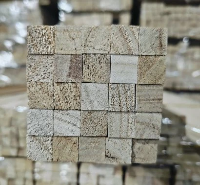 Павловнија квадратно дрво